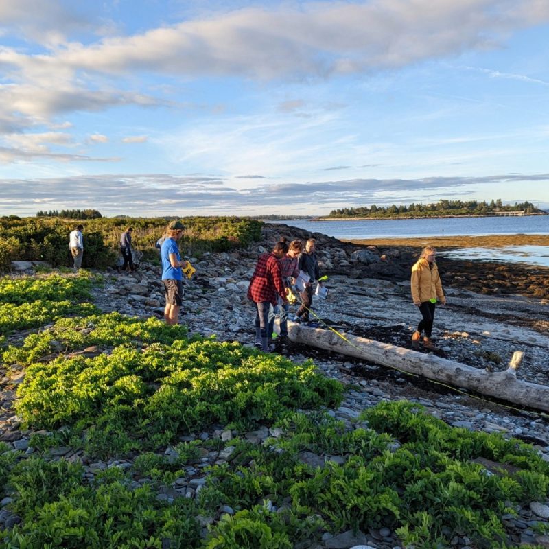 Students on beach